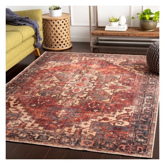 Surya Amelie AML-2308 6'7" x 9' Rug