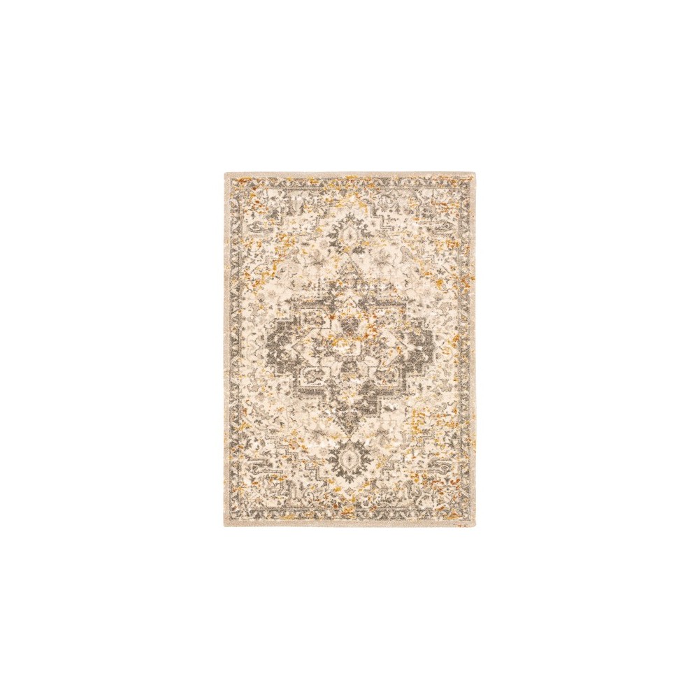 Surya Tuscany TUS-2307 12' x 15' Rug