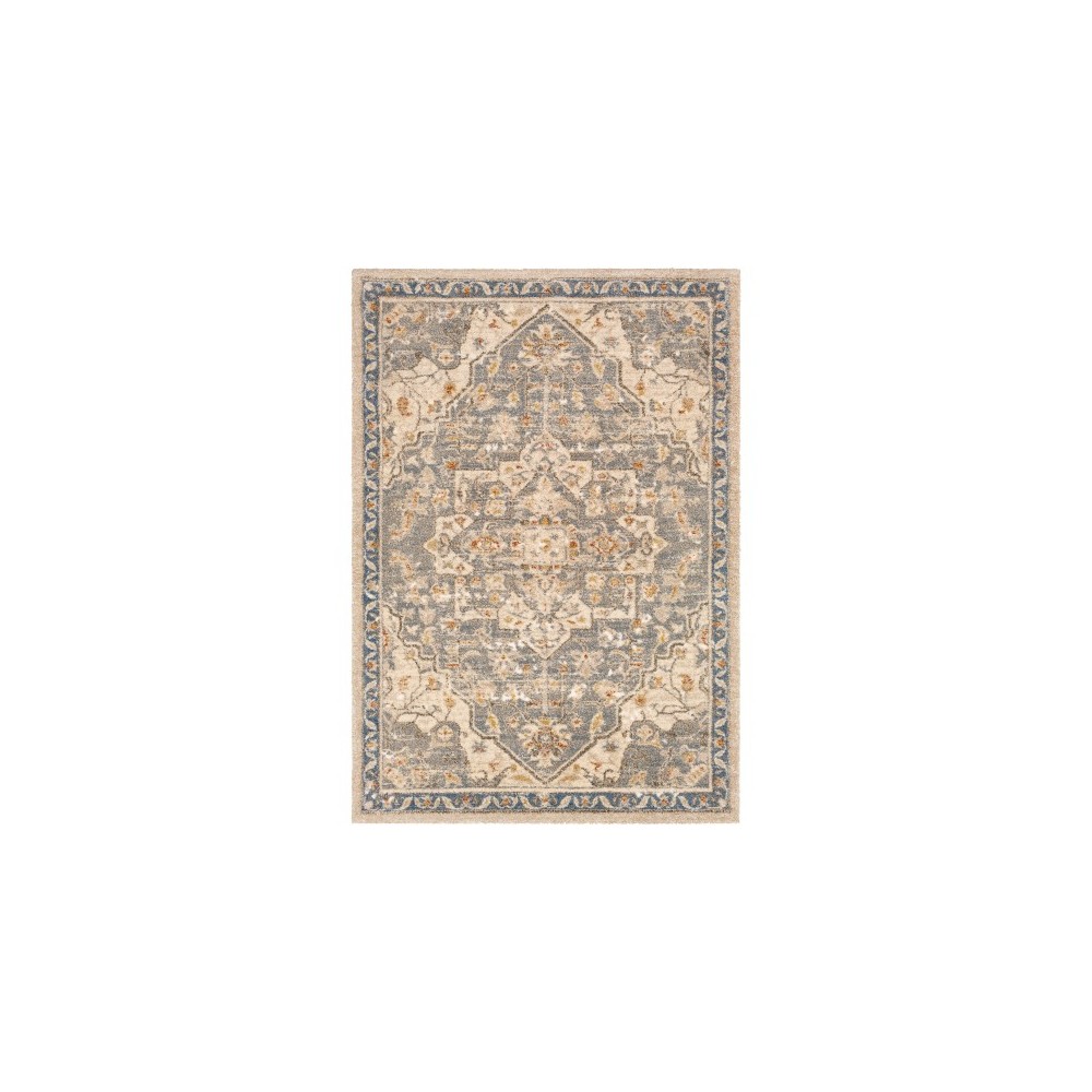 Surya Tuscany TUS-2309 7'10" Square Rug