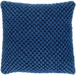 Surya Godavari GDA-004 18" x 18" Pillow Cover