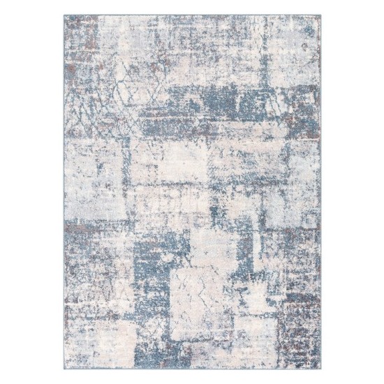 Surya Ankara AKR-2313 7'10" x 10'3" Rug