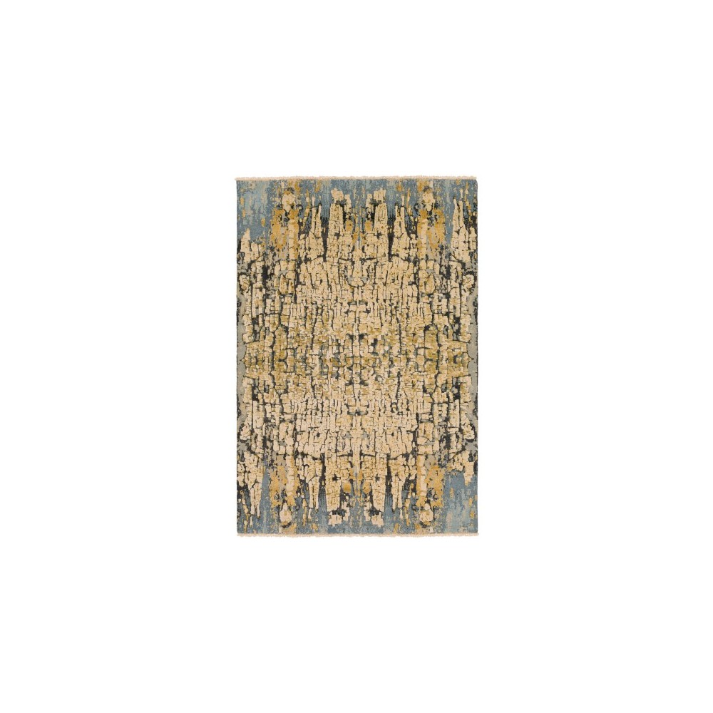 Surya Colaba COA-2000 2' x 3' Rug Surya Colaba COA-2000 2' x 3' Rug