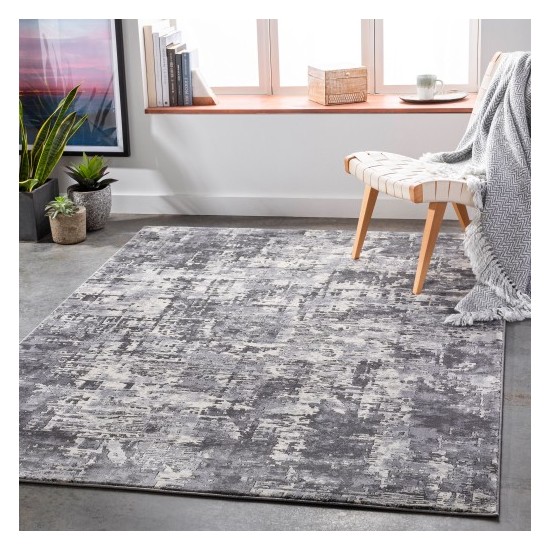 Surya Pune PUN-2304 2' x 3' Rug