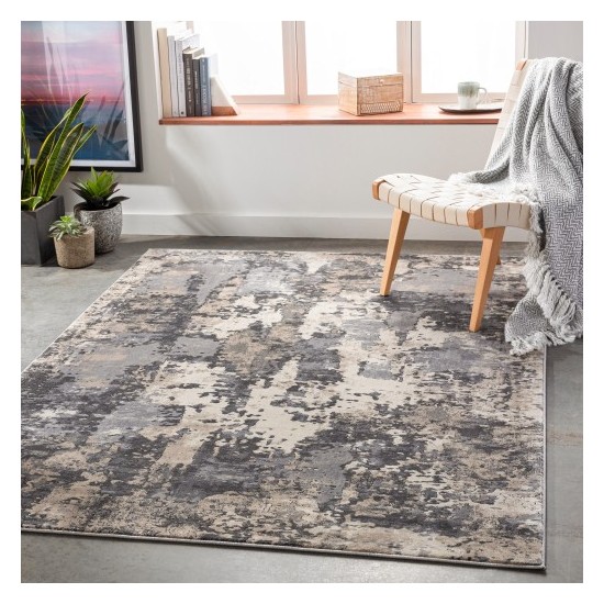 Surya Pune PUN-2305 2' x 3' Rug