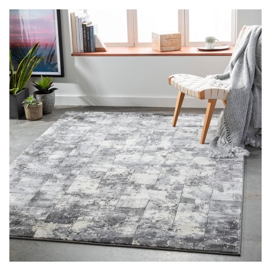 Surya Pune PUN-2306 2' x 3' Rug