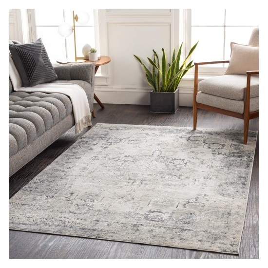 Surya Aisha AIS-2316 2' x 3' Rug