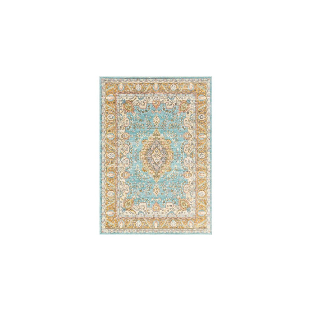 Surya Bodrum BDM-2300 6'11" x 9' Rug