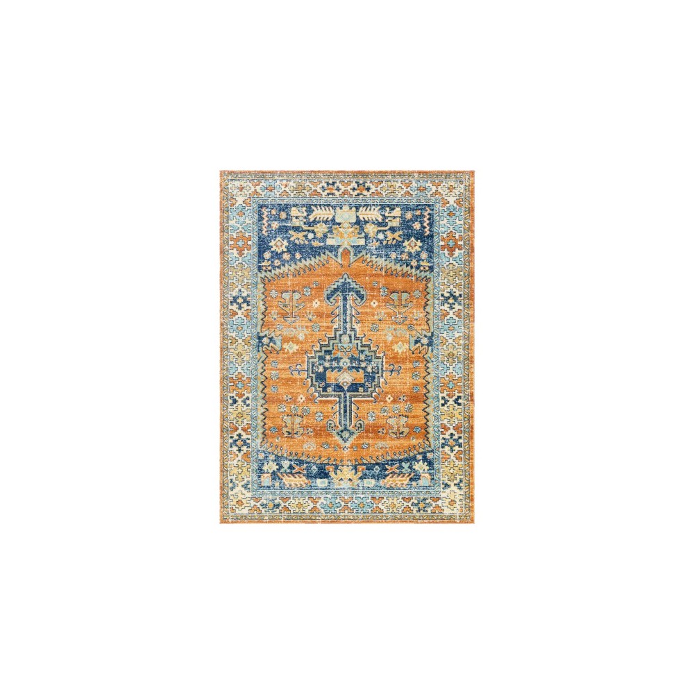 Surya Bodrum BDM-2310 5'3" x 7'3" Rug Surya Bodrum BDM-2310 5'3" x 7'3" Rug