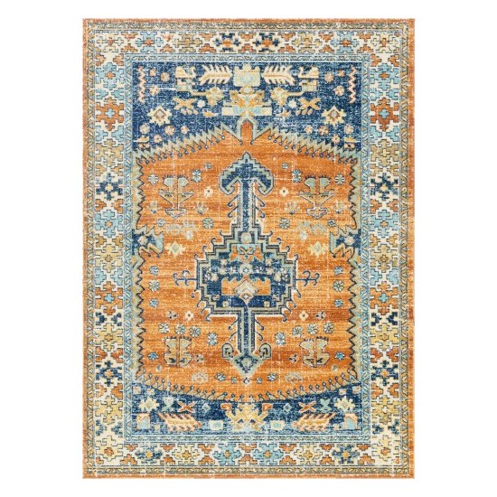 Surya Bodrum BDM-2310 6'11" x 9' Rug