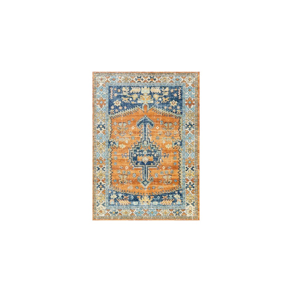 Surya Bodrum BDM-2310 7'10" x 10' Rug