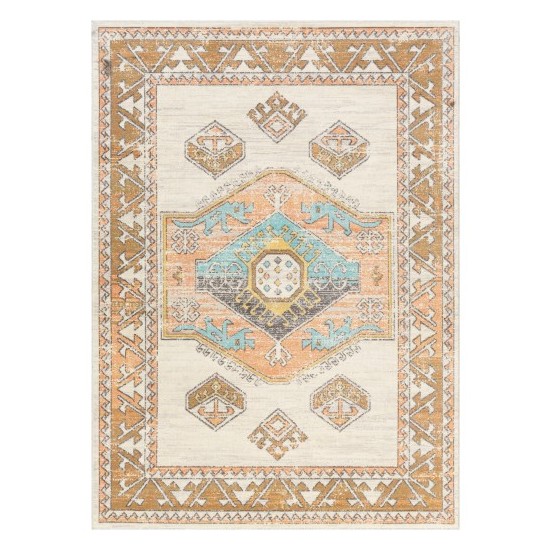 Surya Bodrum BDM-2313 5'3" x 7'3" Rug