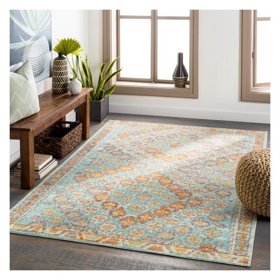 Surya Bodrum BDM-2317 6'11" x 9' Rug