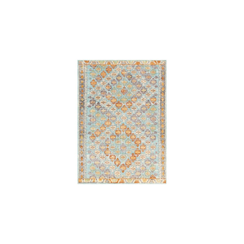 Surya Bodrum BDM-2317 7'10" x 10' Rug