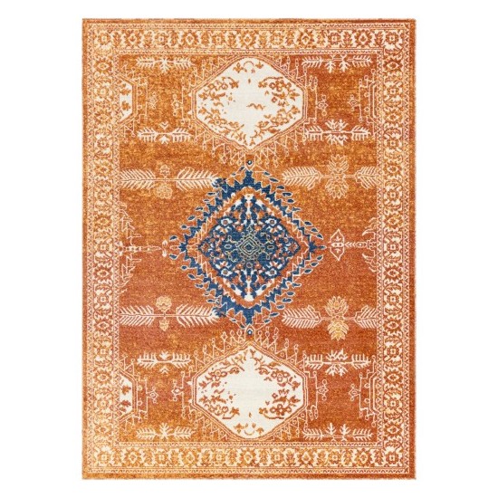 Surya Bodrum BDM-2318 6'11" x 9' Rug