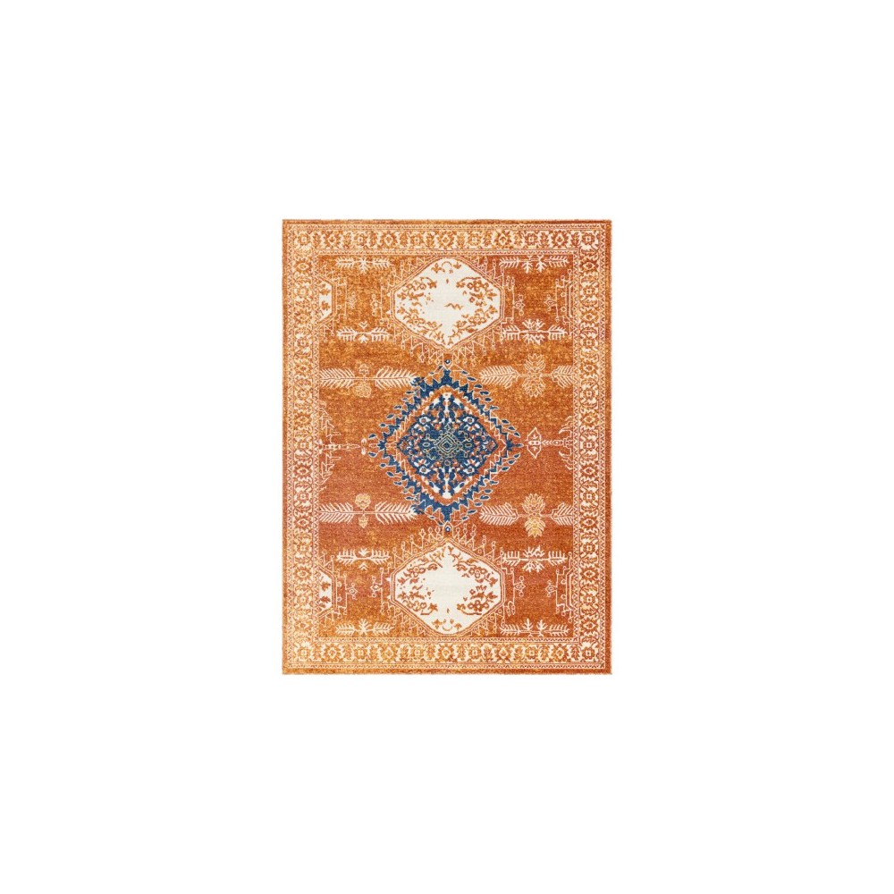 Surya Bodrum BDM-2318 7'10" x 10' Rug Surya Bodrum BDM-2318 7'10" x 10' Rug