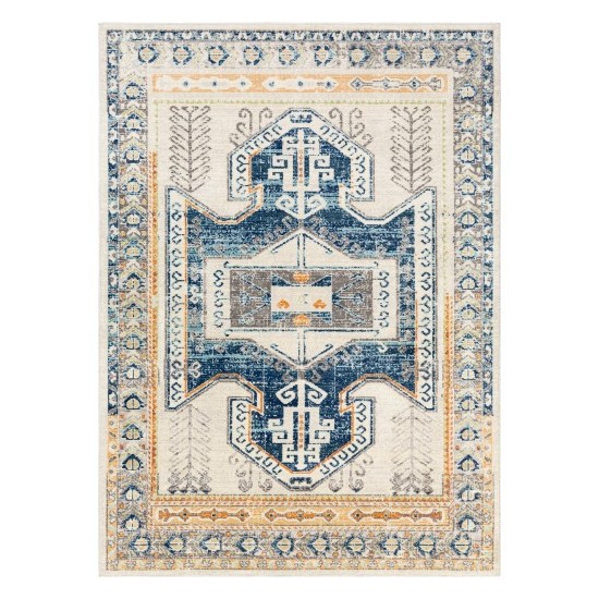 Surya Bodrum BDM-2319 6'11" x 9' Rug