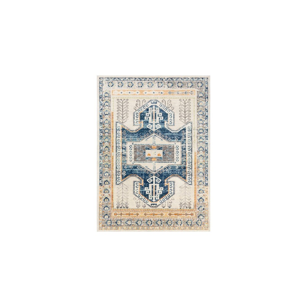 Surya Bodrum BDM-2319 6'11" x 9' Rug