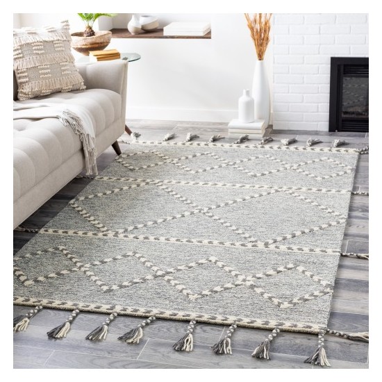 Surya Zanafi Tassels ZTS-2300 2' x 3' Rug