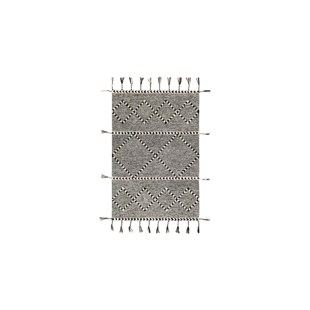 Surya Zanafi Tassels ZTS-2302 2' x 3' Rug