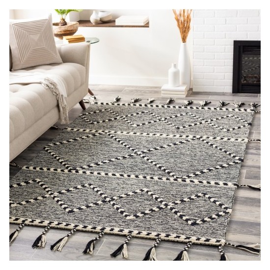 Surya Zanafi Tassels ZTS-2302 2' x 3' Rug