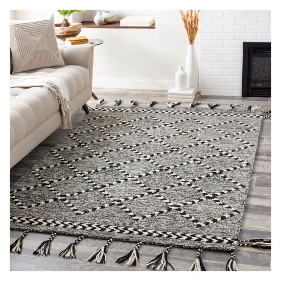 Surya Zanafi Tassels ZTS-2303 2' x 3' Rug