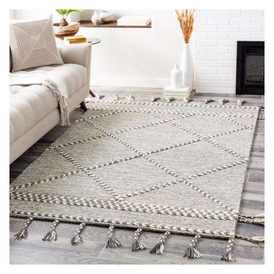 Surya Zanafi Tassels ZTS-2306 2' x 3' Rug