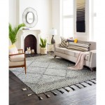 Surya Zanafi Tassels ZTS-2307 2' x 3' Rug