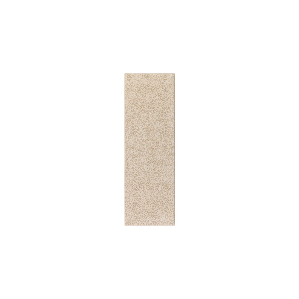 Surya Contempo CPO-3849 2' x 2'11" Rug Surya Contempo CPO-3849 2' x 2'11" Rug