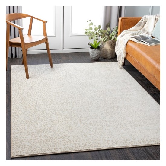 Surya Contempo CPO-3849 2' x 2'11" Rug