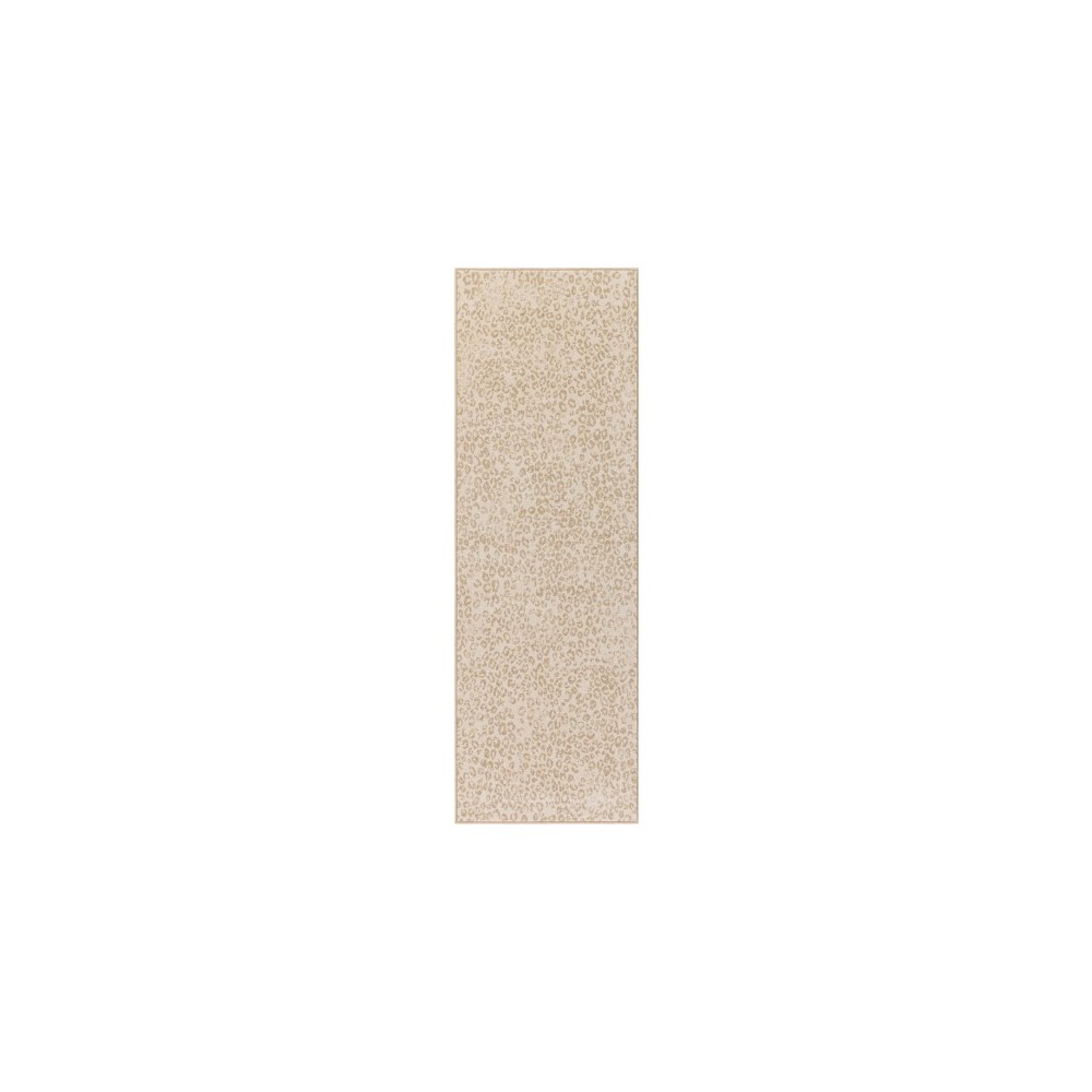 Surya Contempo CPO-3849 6'7" x 9' Rug