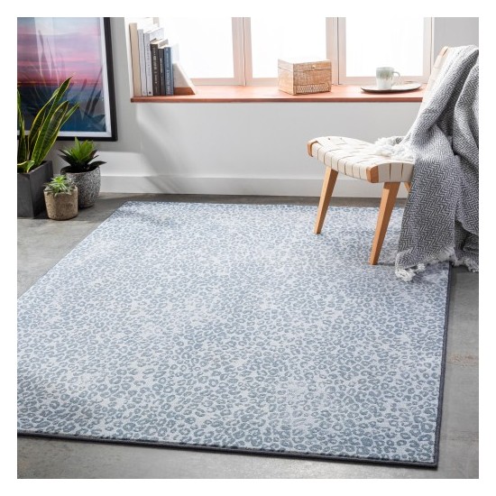 Surya Contempo CPO-3851 2' x 2'11" Rug