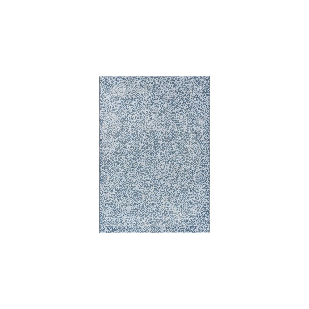 Surya Contempo CPO-3851 2'7" x 7'10" Rug