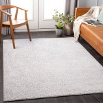 Surya Contempo CPO-3852 2' x 2'11" Rug