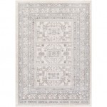 Surya Chester CHE-2328 5'3" x 7'3" Rug