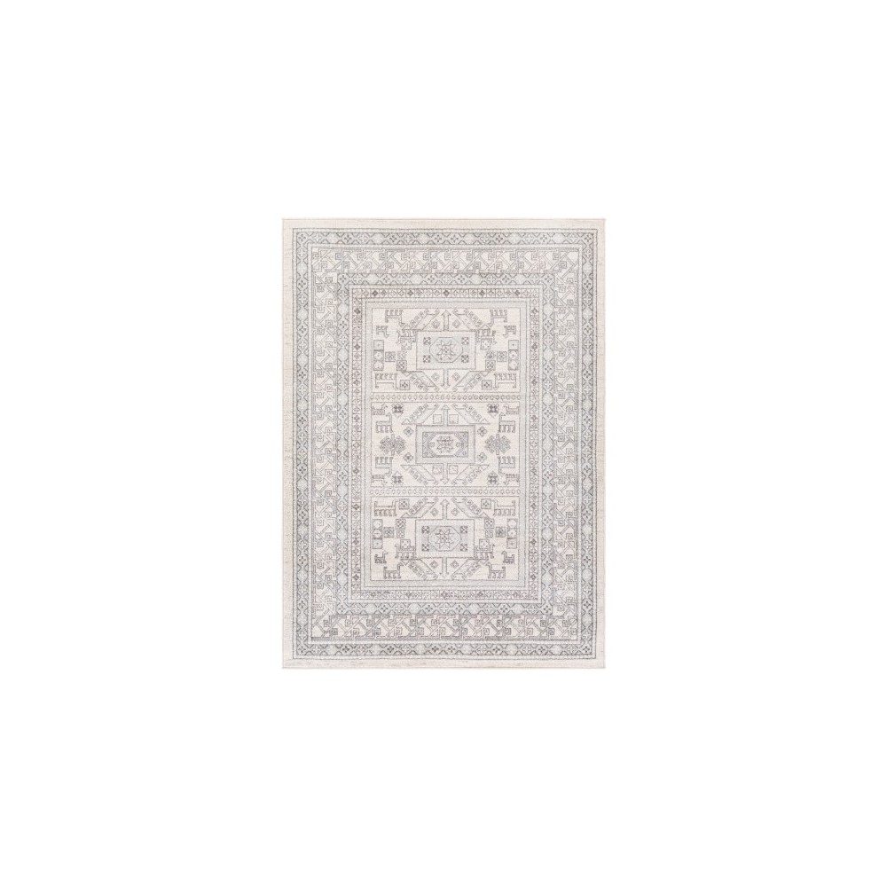 Surya Chester CHE-2328 5'3" x 7'3" Rug