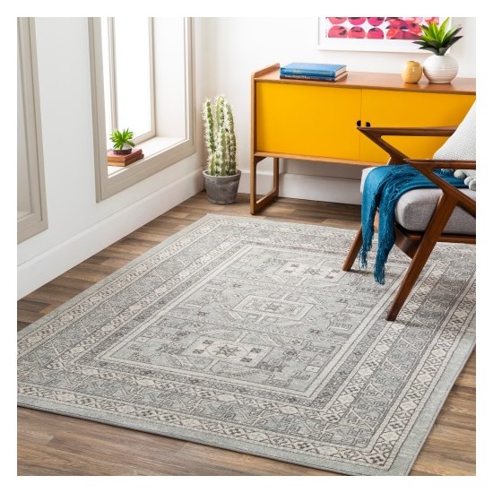 Surya Chester CHE-2329 7'10" x 10'3" Rug