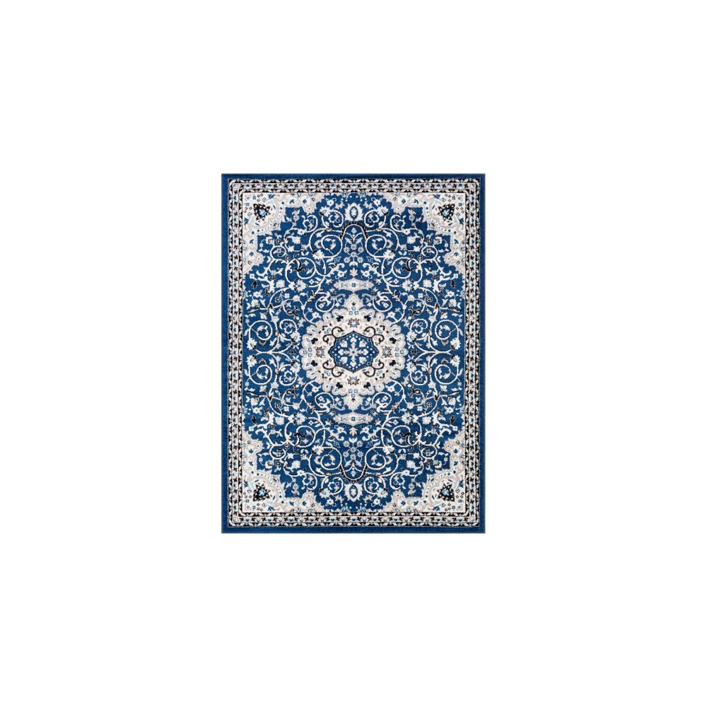 Surya Chester CHE-2333 6'7" x 9' Rug