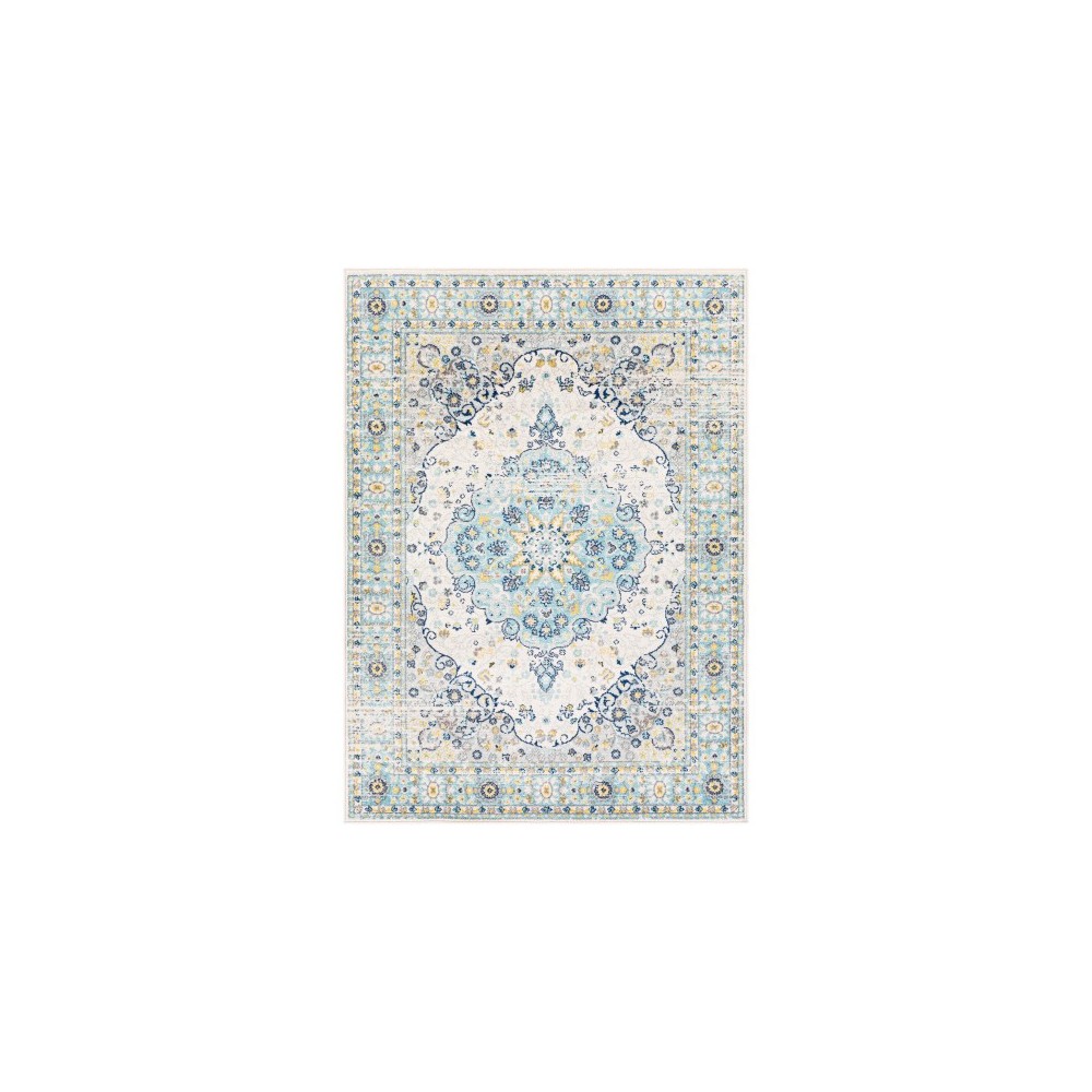 Surya Chester CHE-2334 7'10" x 10'3" Rug