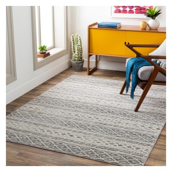 Surya Chester CHE-2335 5'3" x 7'3" Rug