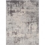 Surya Chester CHE-2340 7'10" x 10'3" Rug