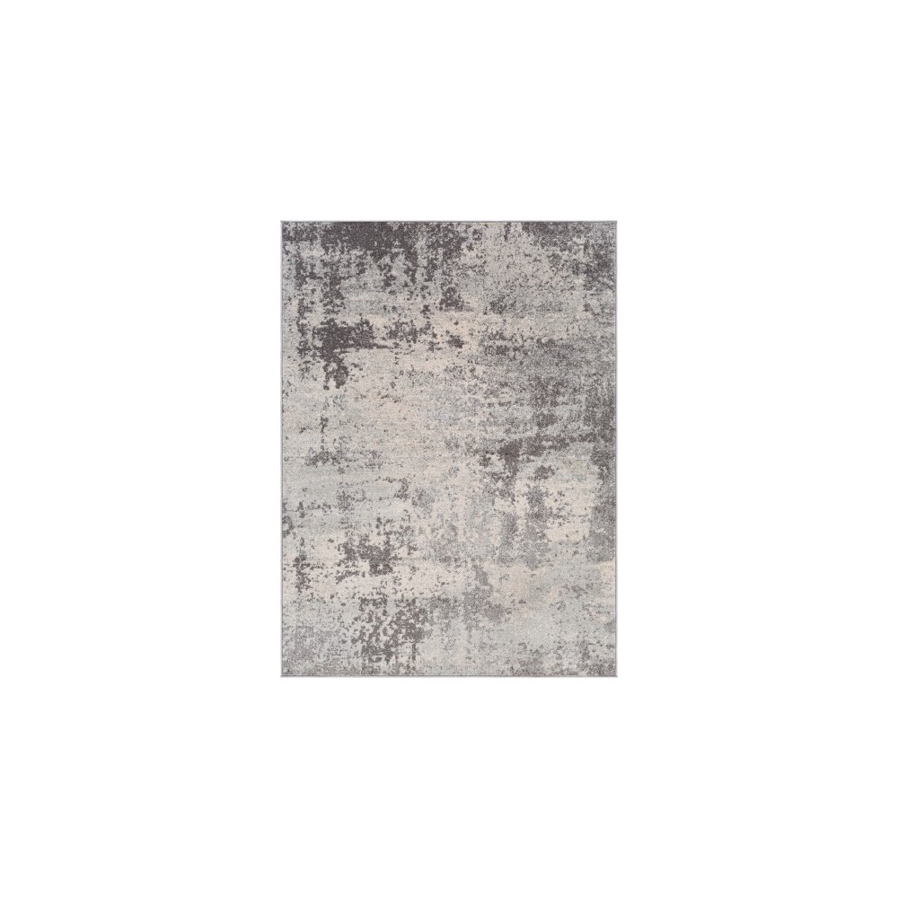 Surya Chester CHE-2340 7'10" x 10'3" Rug