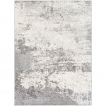 Surya Chester CHE-2343 5'3" x 7'3" Rug