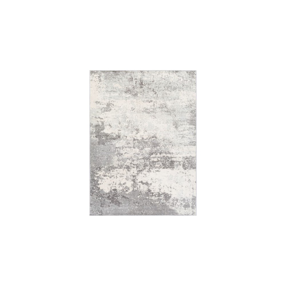 Surya Chester CHE-2343 6'7" x 9' Rug Surya Chester CHE-2343 6'7" x 9' Rug