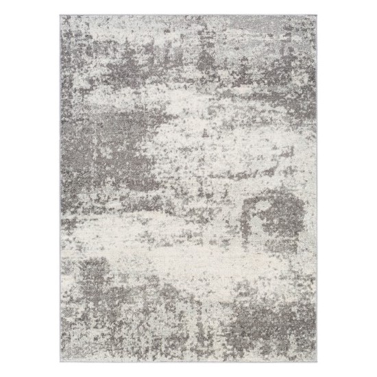 Surya Chester CHE-2345 5'3" x 7'3" Rug