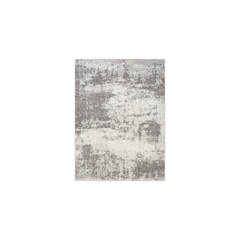 Surya Chester CHE-2345 6'7" x 9' Rug