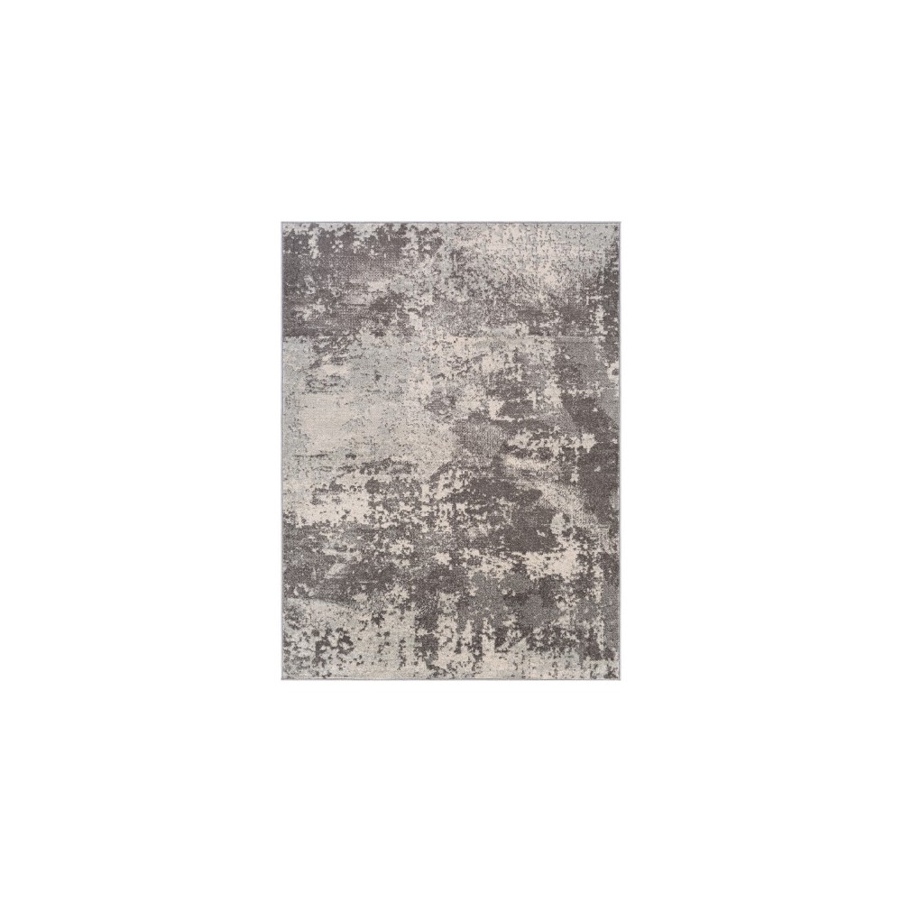 Surya Chester CHE-2347 7'10" x 10'3" Rug