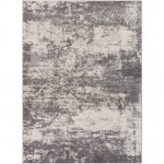 Surya Chester CHE-2348 7'10" x 10'3" Rug