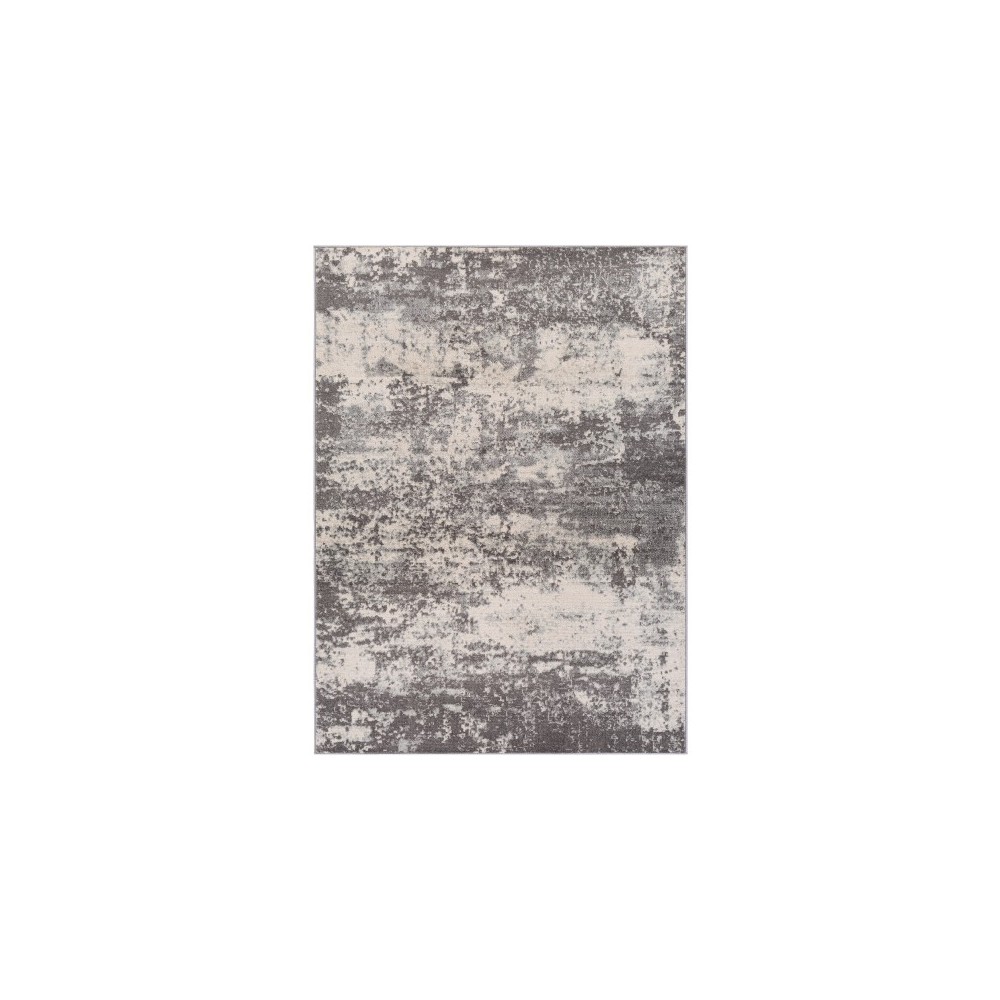 Surya Chester CHE-2348 7'10" x 10'3" Rug