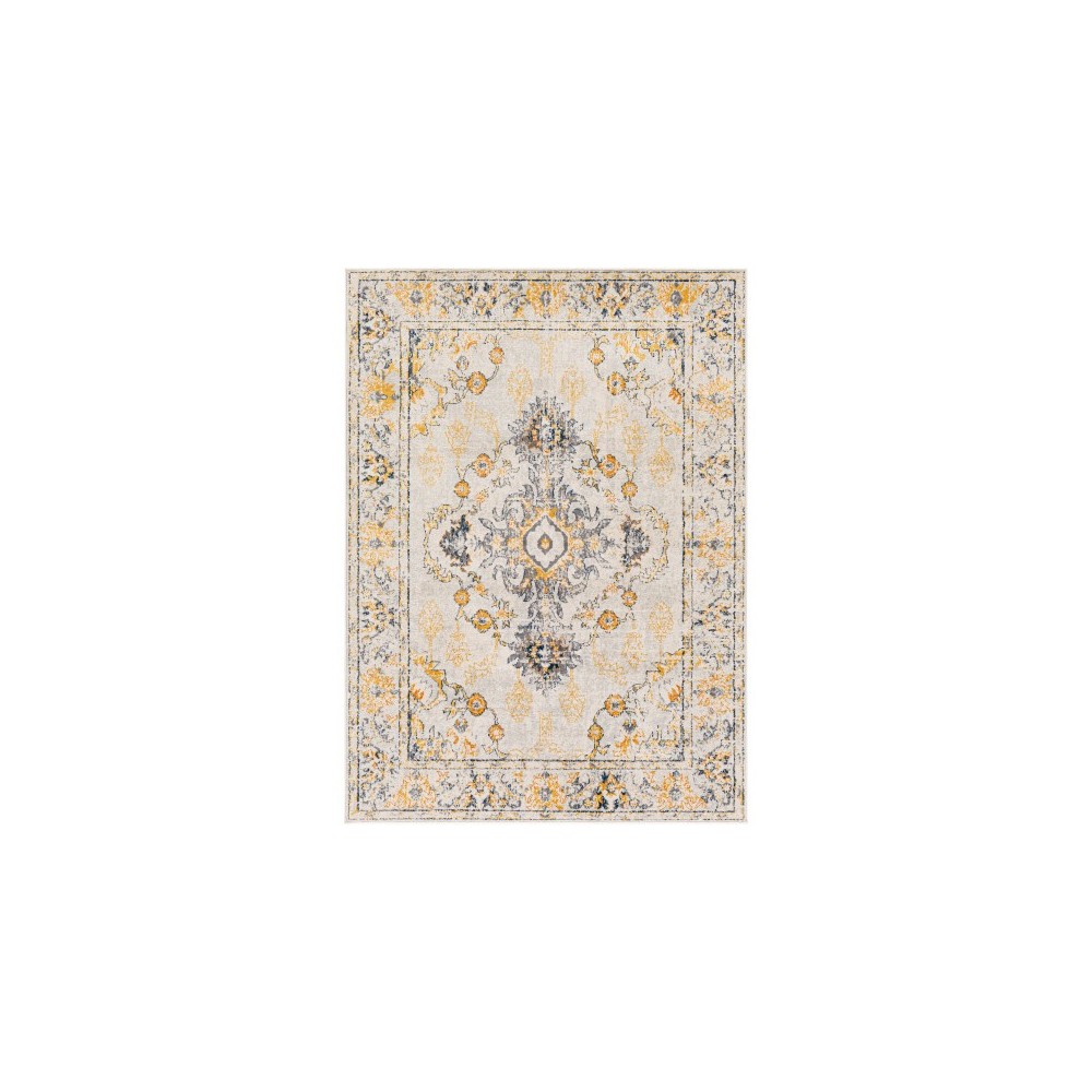 Surya Floransa FSA-2311 7'10" x 10' Rug Surya Floransa FSA-2311 7'10" x 10' Rug