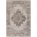 Surya Amsterdam AMS-1023 2' x 3' Rug